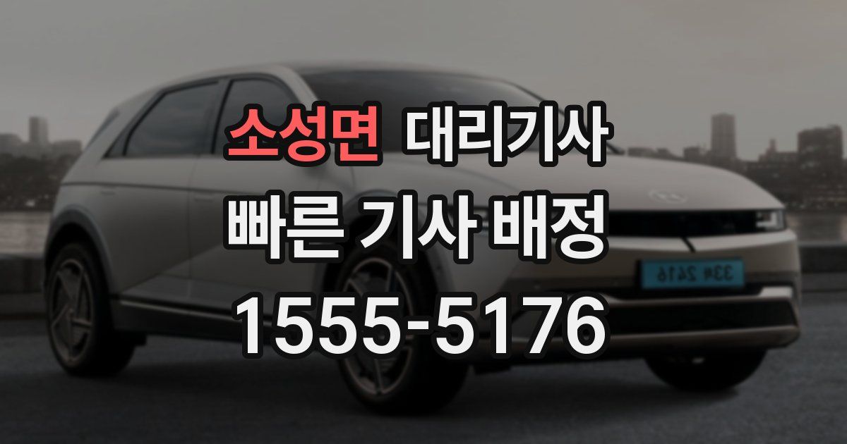 소성면 대리기사