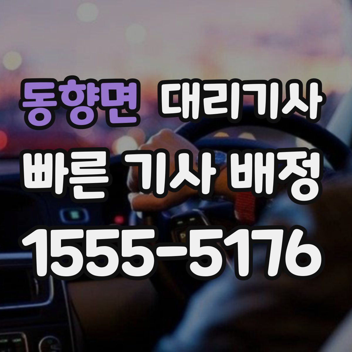 동향면 대리기사