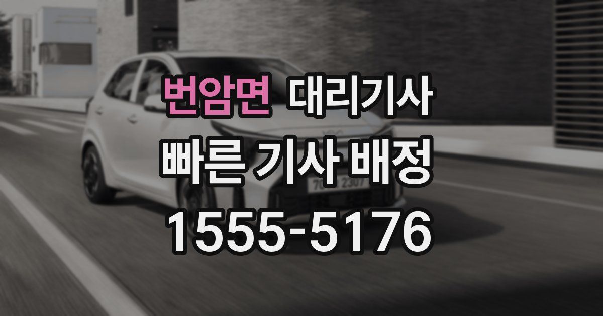 번암면 대리기사