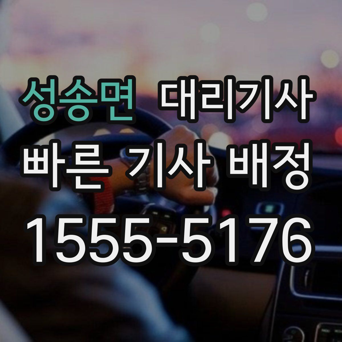 성송면 대리기사