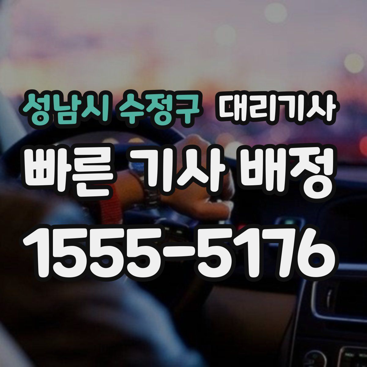 성남시 수정구 대리기사