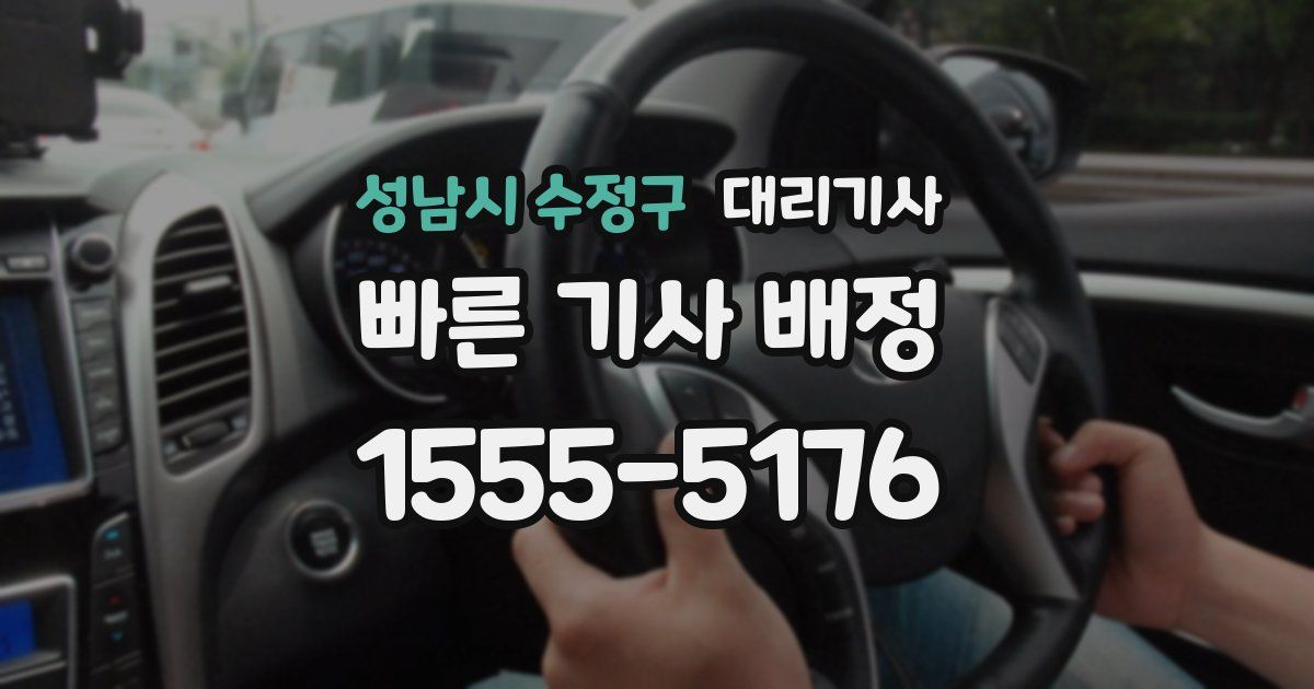 성남시 수정구 대리기사
