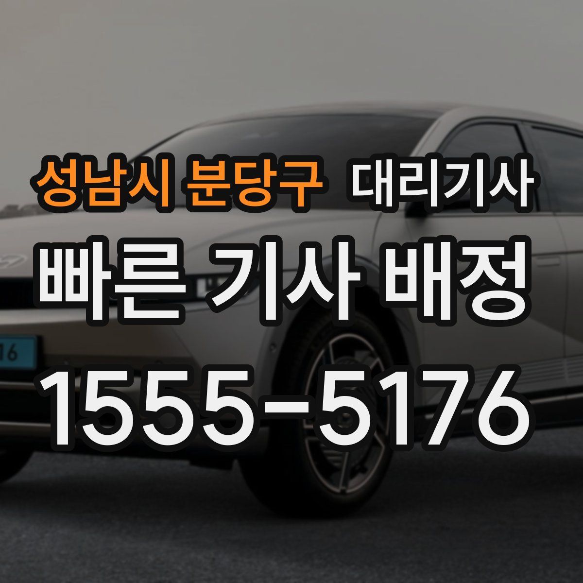 성남시 분당구 대리기사