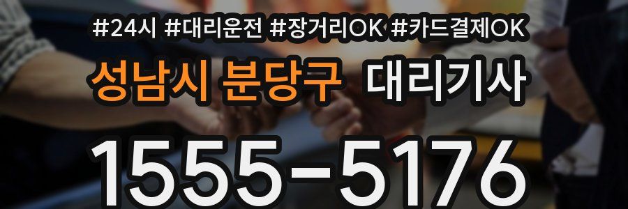 성남시 분당구 대리기사