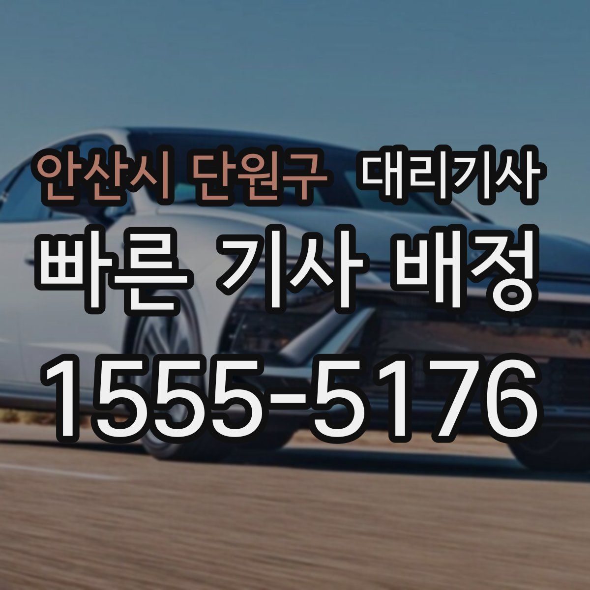 안산시 단원구 대리기사