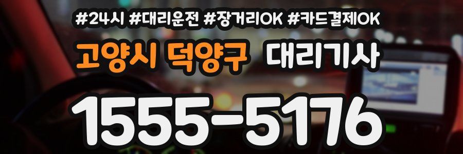 고양시 덕양구 대리기사