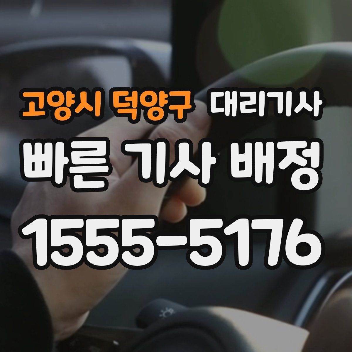 고양시 덕양구 대리기사