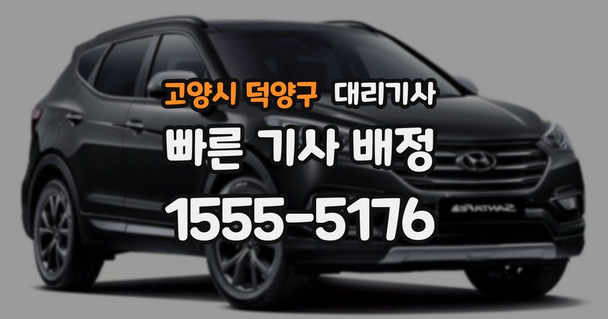 고양시 덕양구 대리기사
