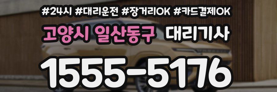 고양시 일산동구 대리기사
