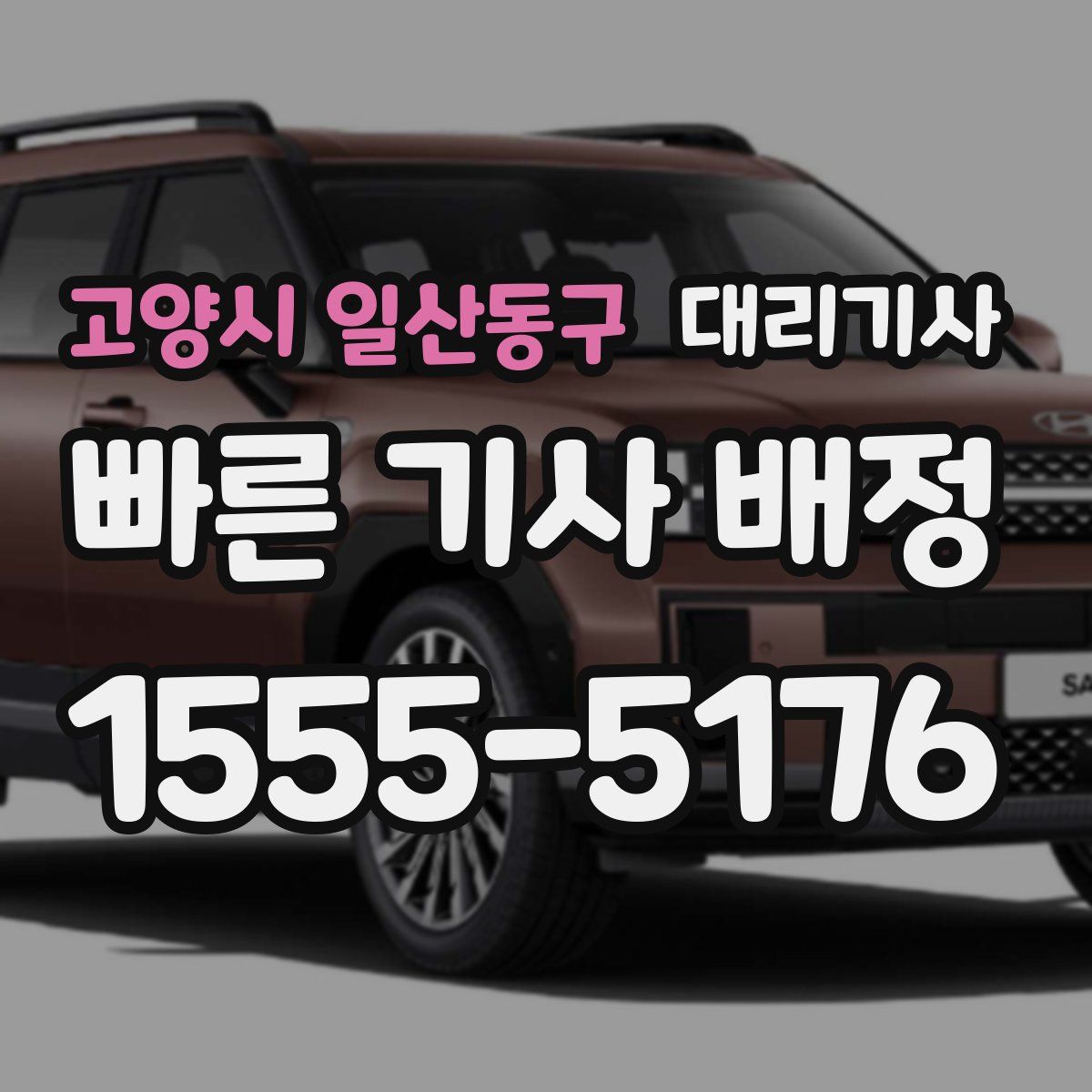 고양시 일산동구 대리기사
