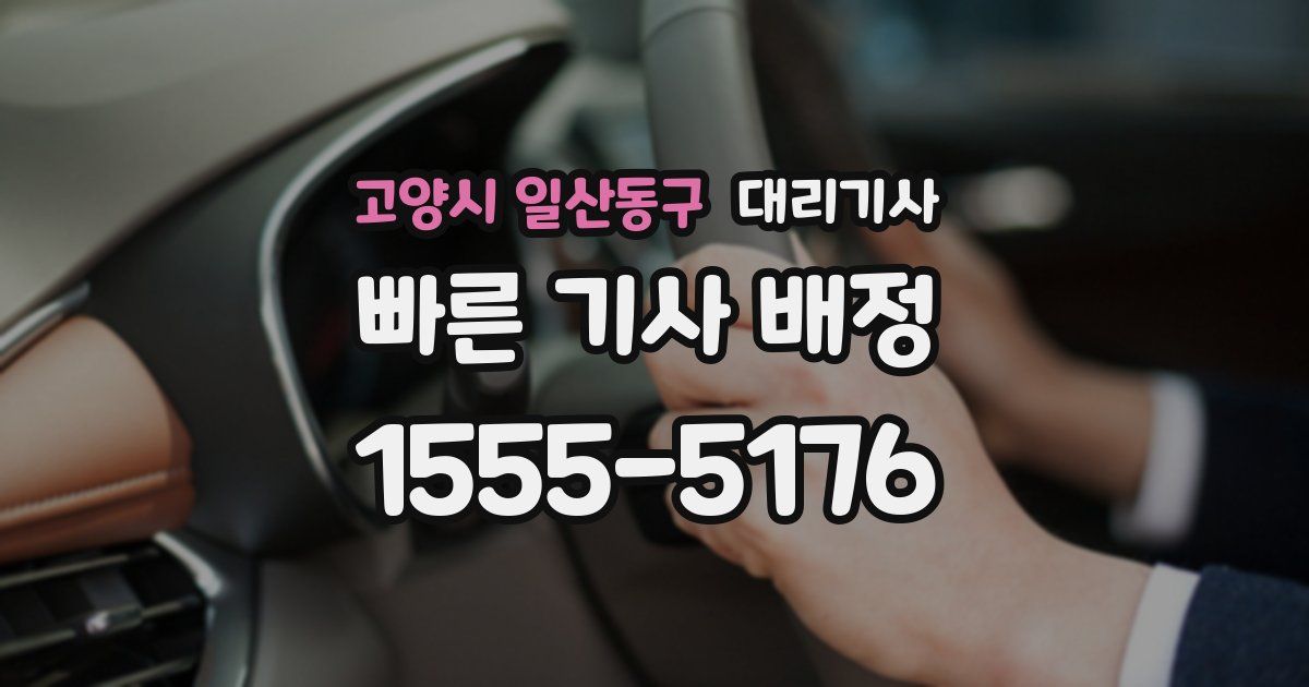 고양시 일산동구 대리기사