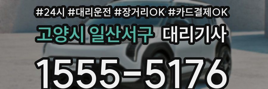 고양시 일산서구 대리기사