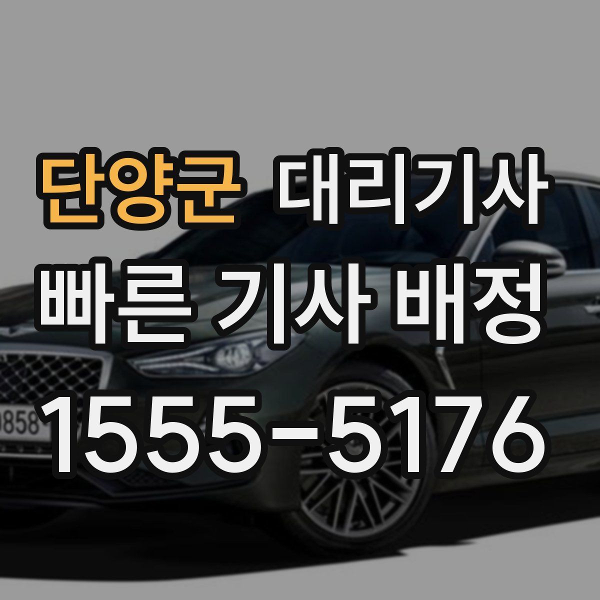 단양군 대리기사