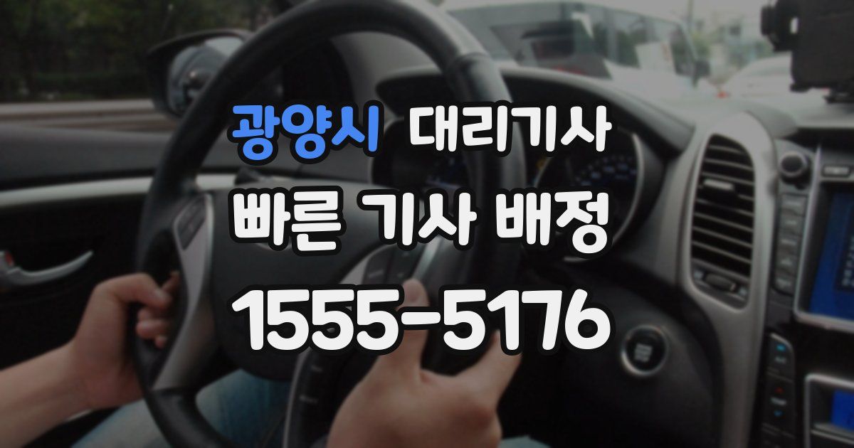 광양시 대리기사