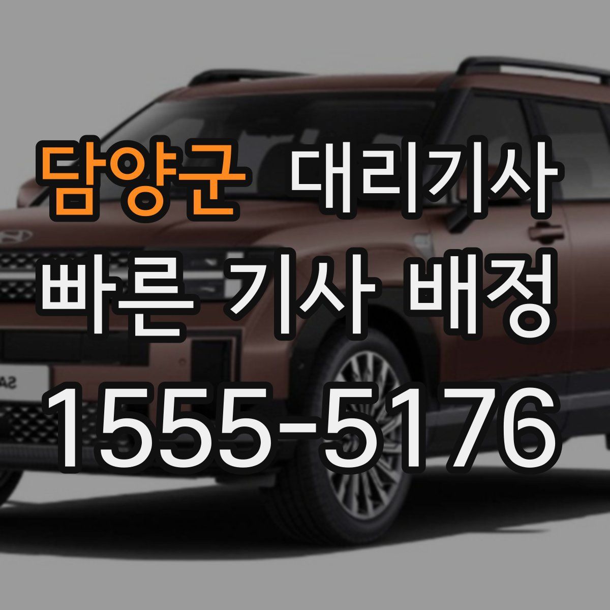 담양군 대리기사