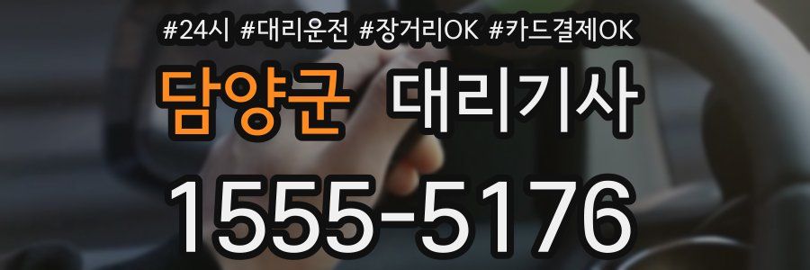 담양군 대리기사