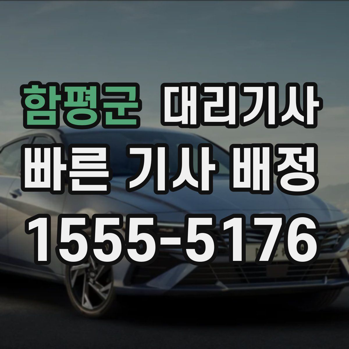 함평군 대리기사