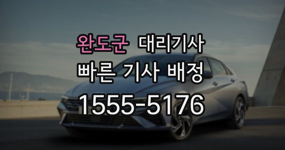완도군 대리기사