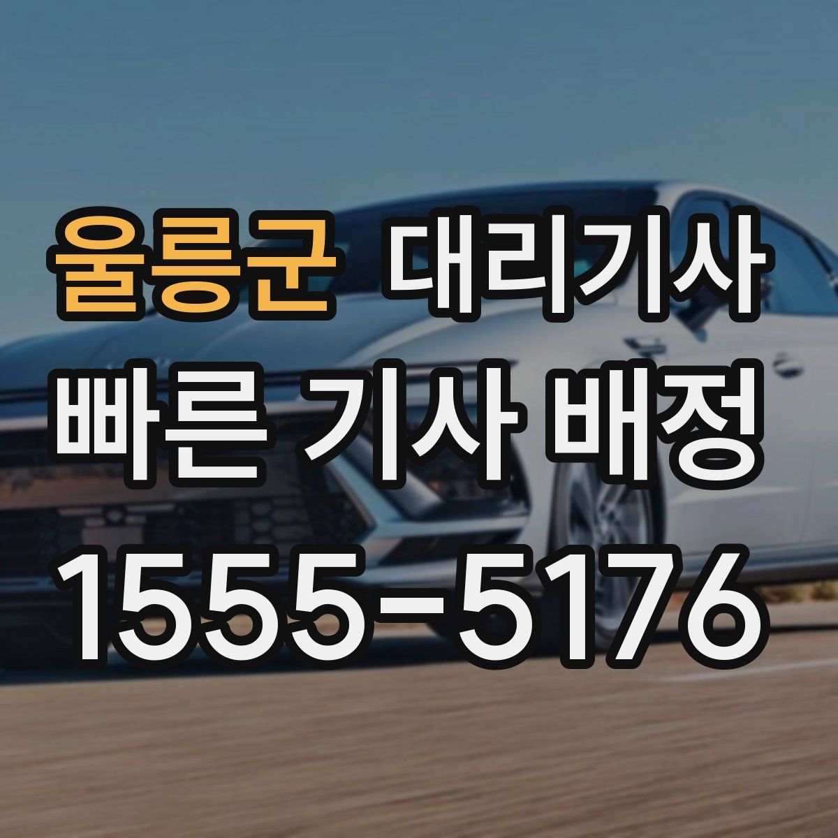 울릉군 대리기사