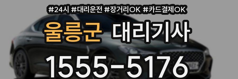 울릉군 대리기사