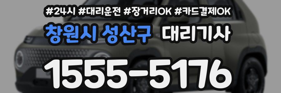 창원시 성산구 대리기사