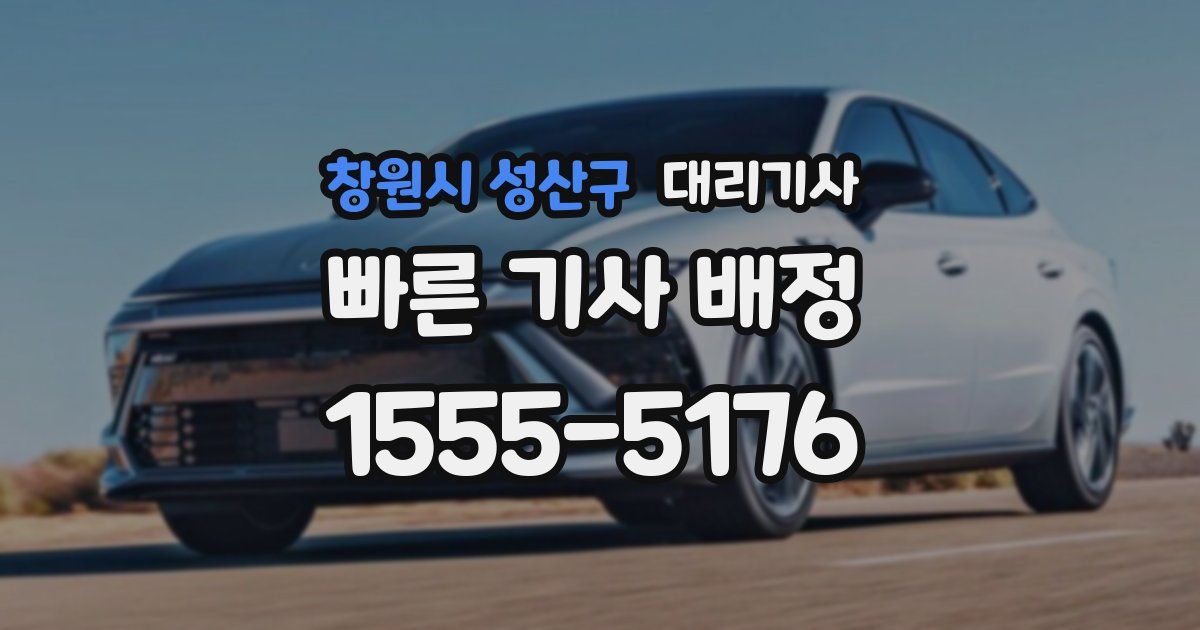 창원시 성산구 대리기사