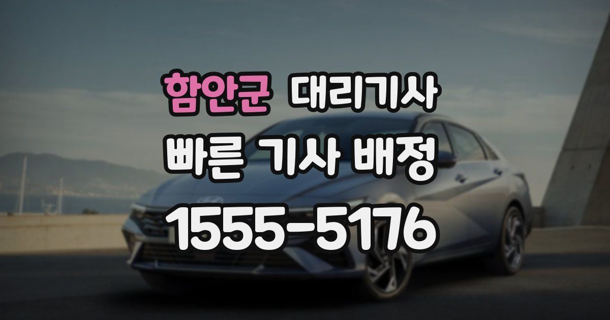 함안군 대리기사