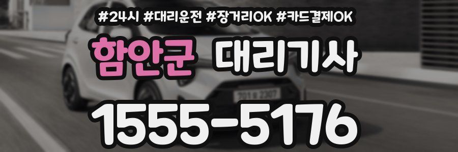 함안군 대리기사