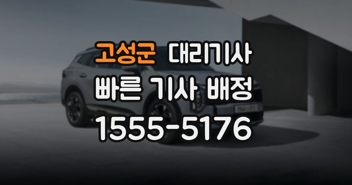 고성군 대리기사