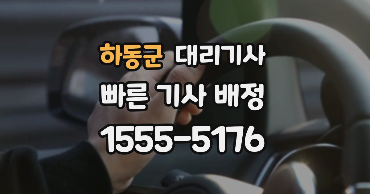 하동군 대리기사