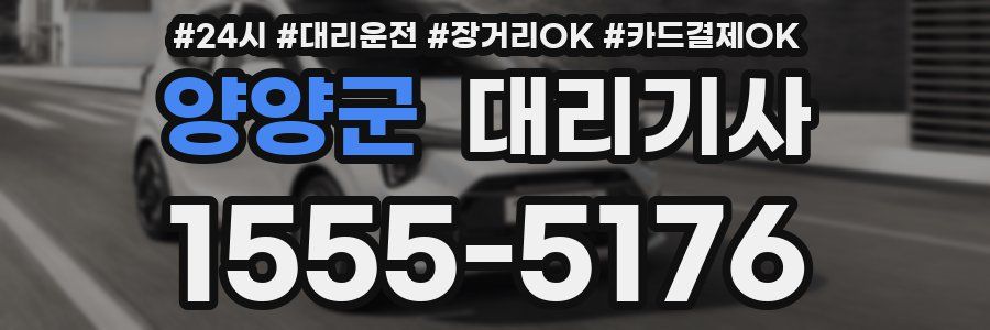 양양군 대리기사