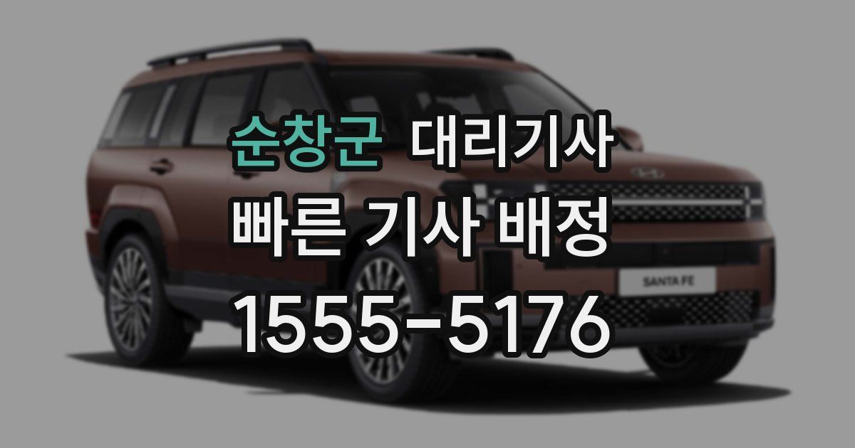 순창군 대리기사