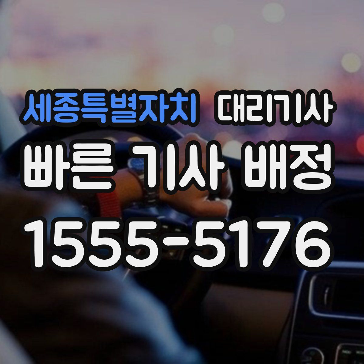 세종특별자치 대리기사