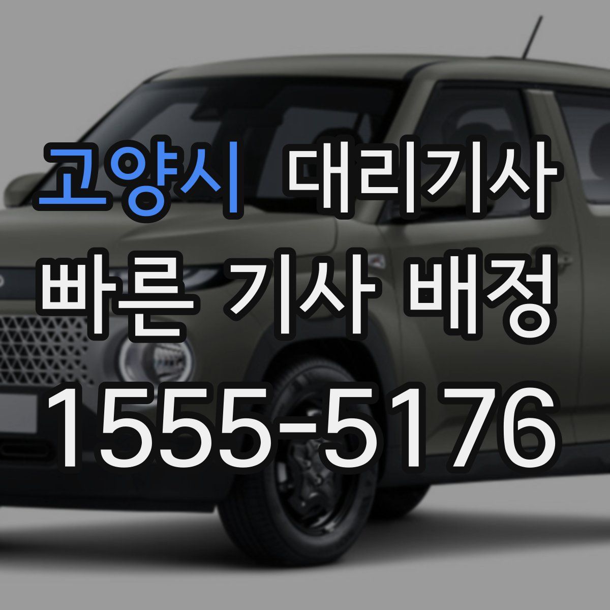 고양시 대리기사