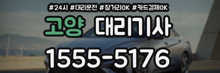 고양 대리기사
