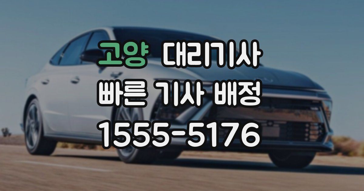 고양 대리기사