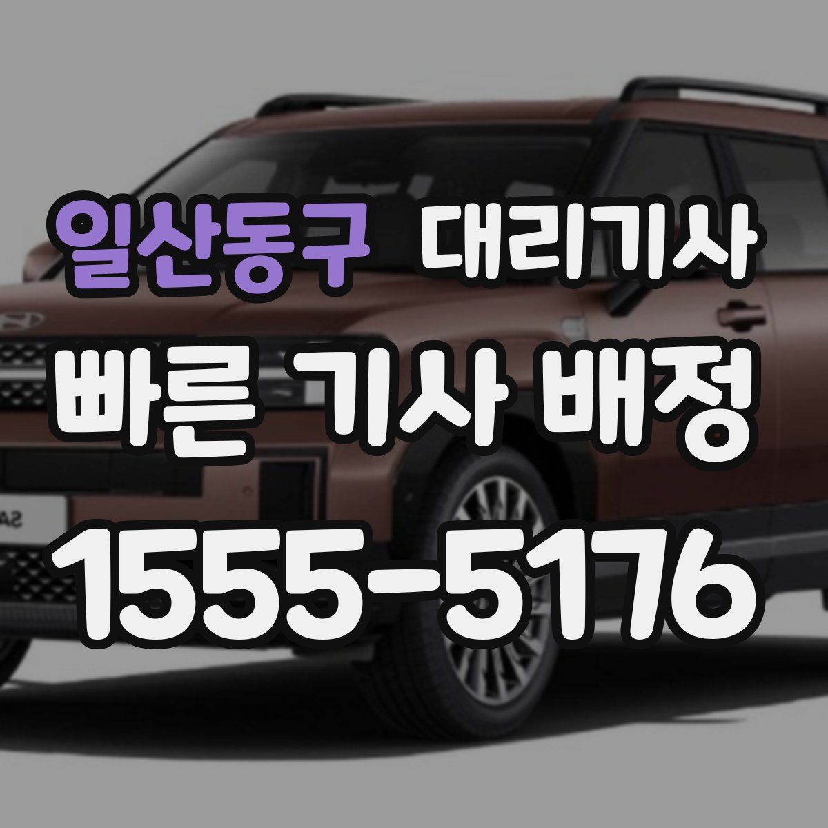 일산동구 대리기사
