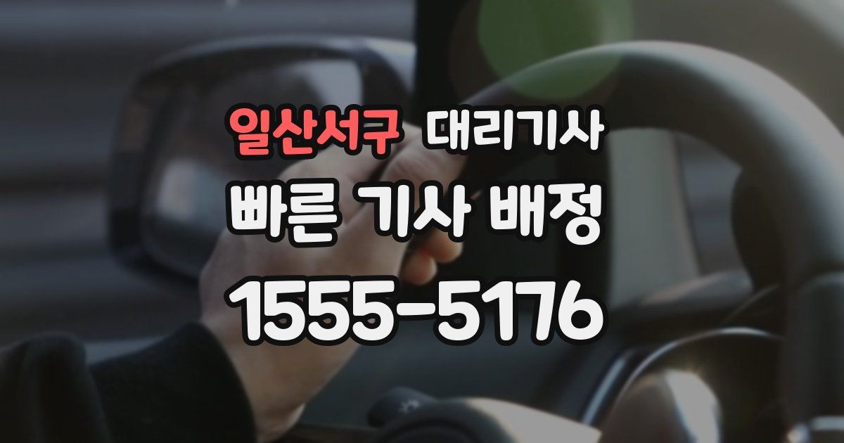 일산서구 대리기사