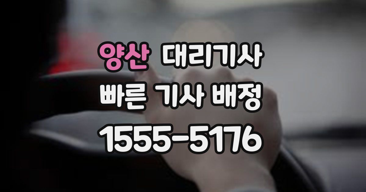 양산 대리기사