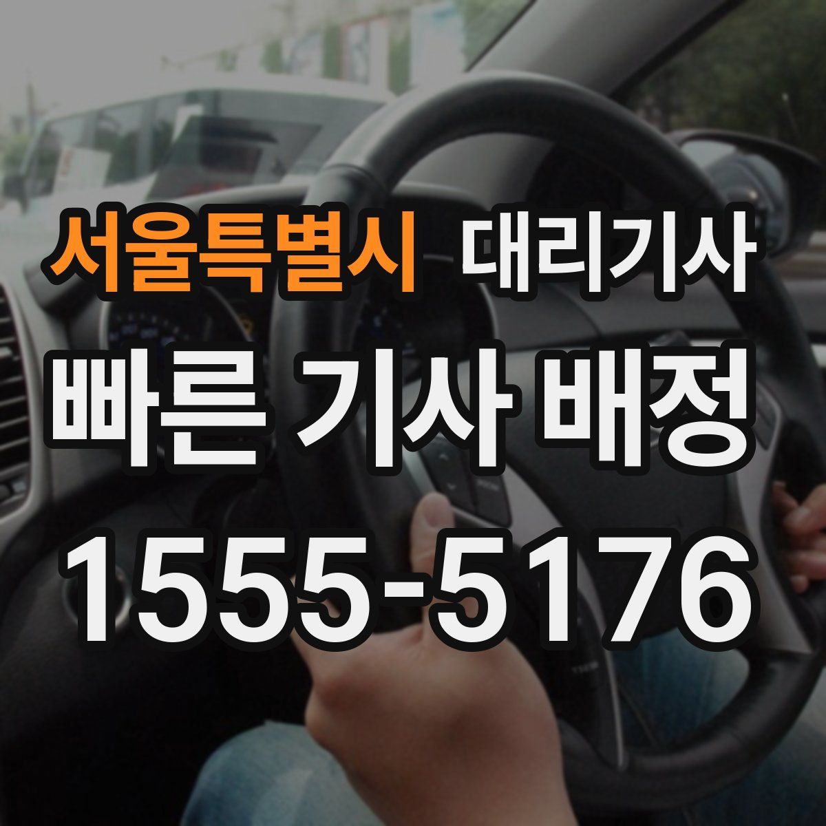 서울특별시 대리기사
