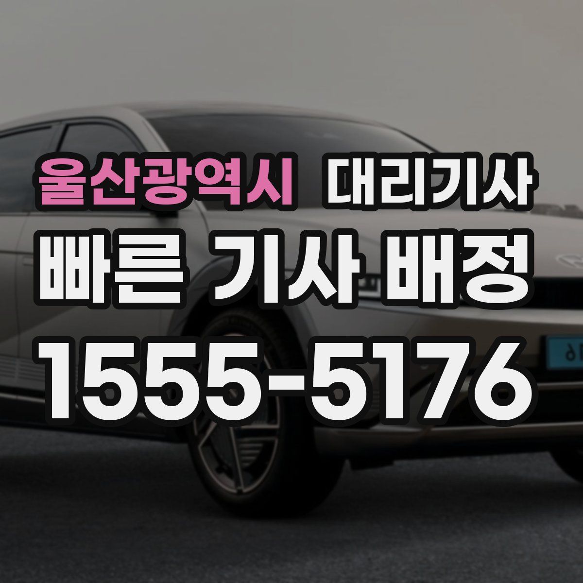 울산광역시 대리기사