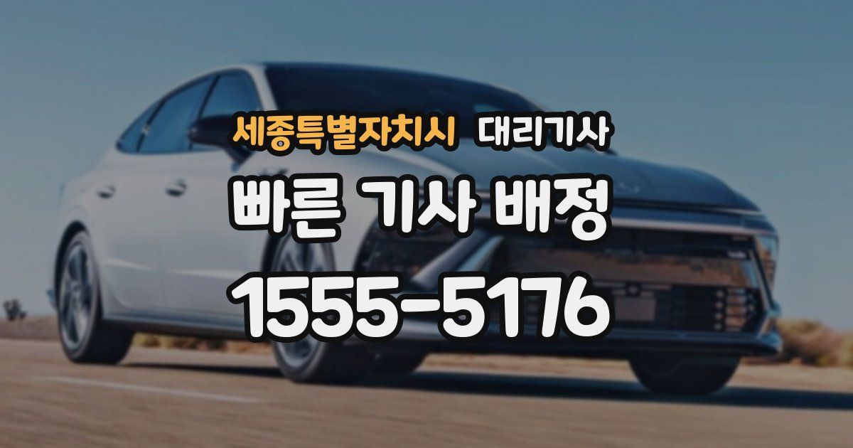 세종특별자치시 대리기사