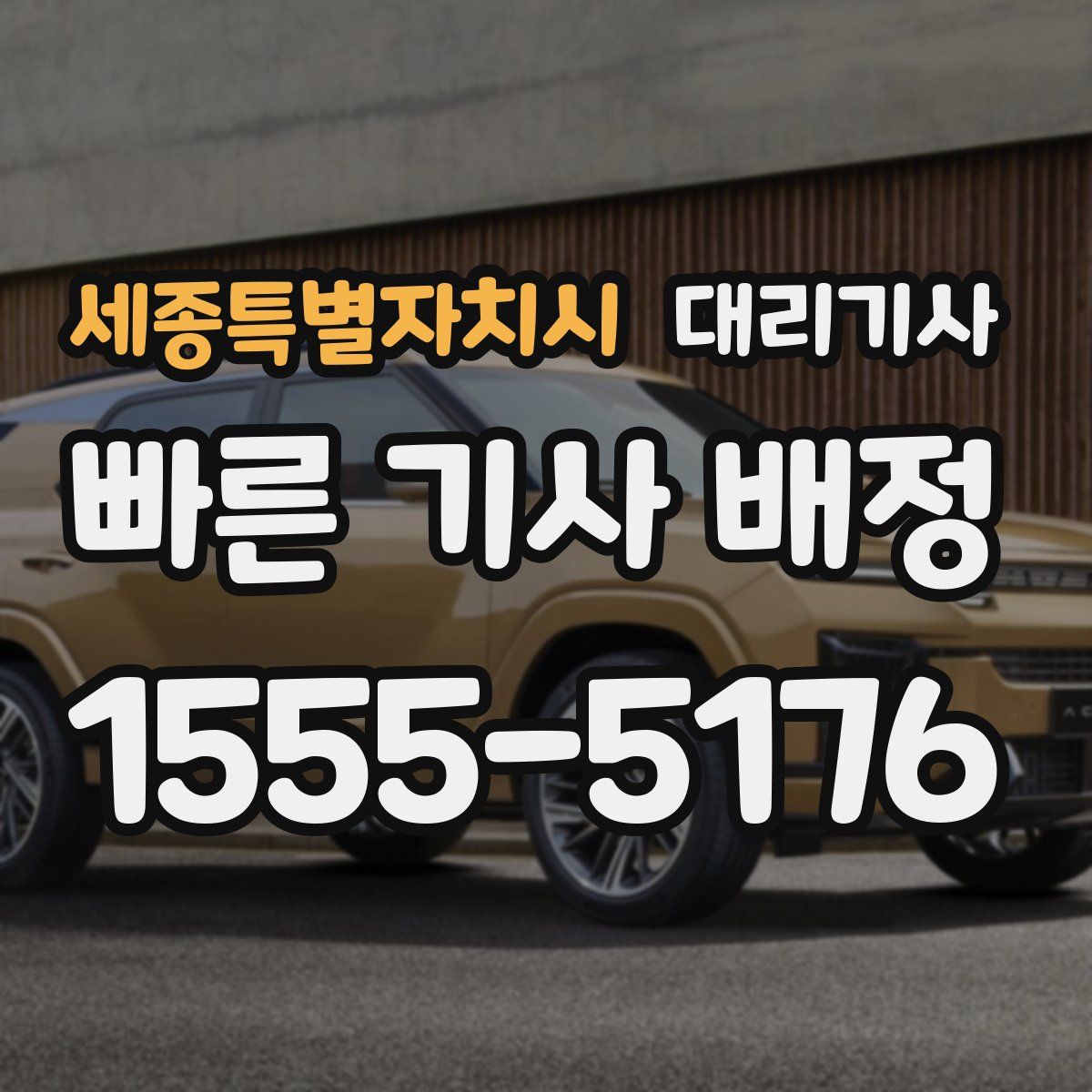 세종특별자치시 대리기사