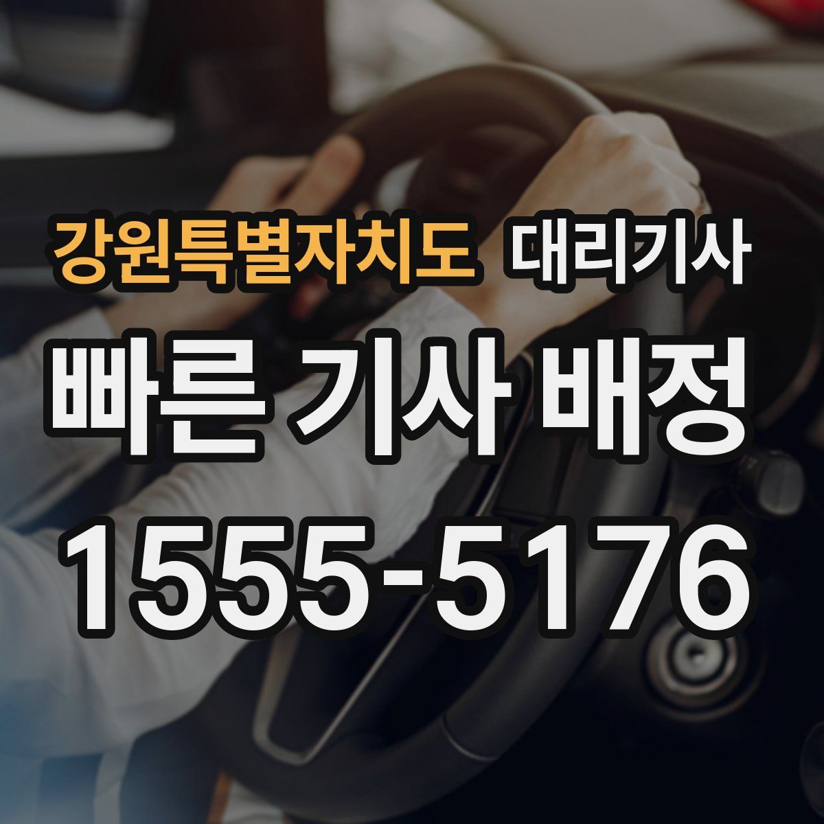 강원특별자치도 대리기사