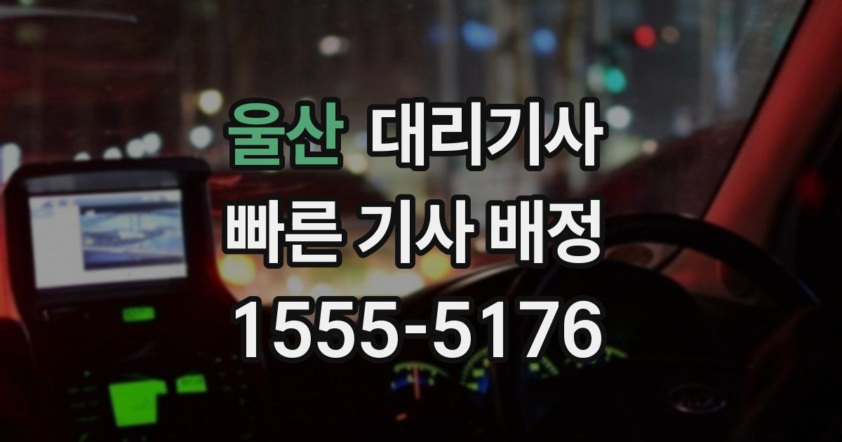 울산 대리기사