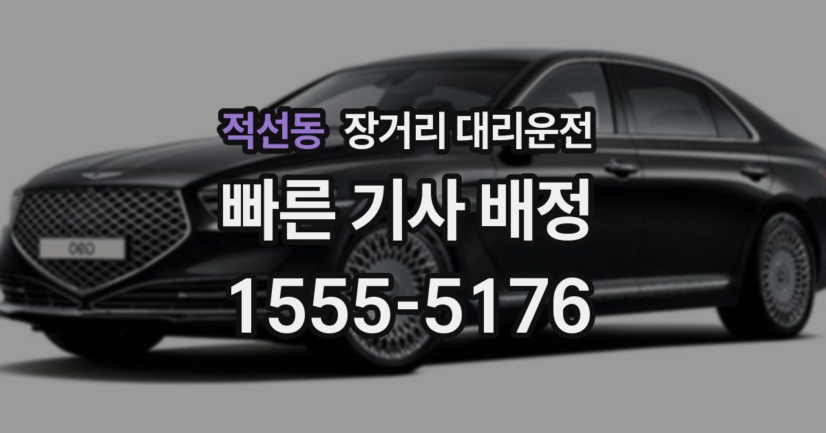 적선동 장거리 대리운전