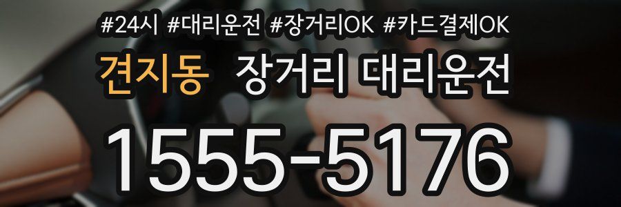 견지동 장거리 대리운전