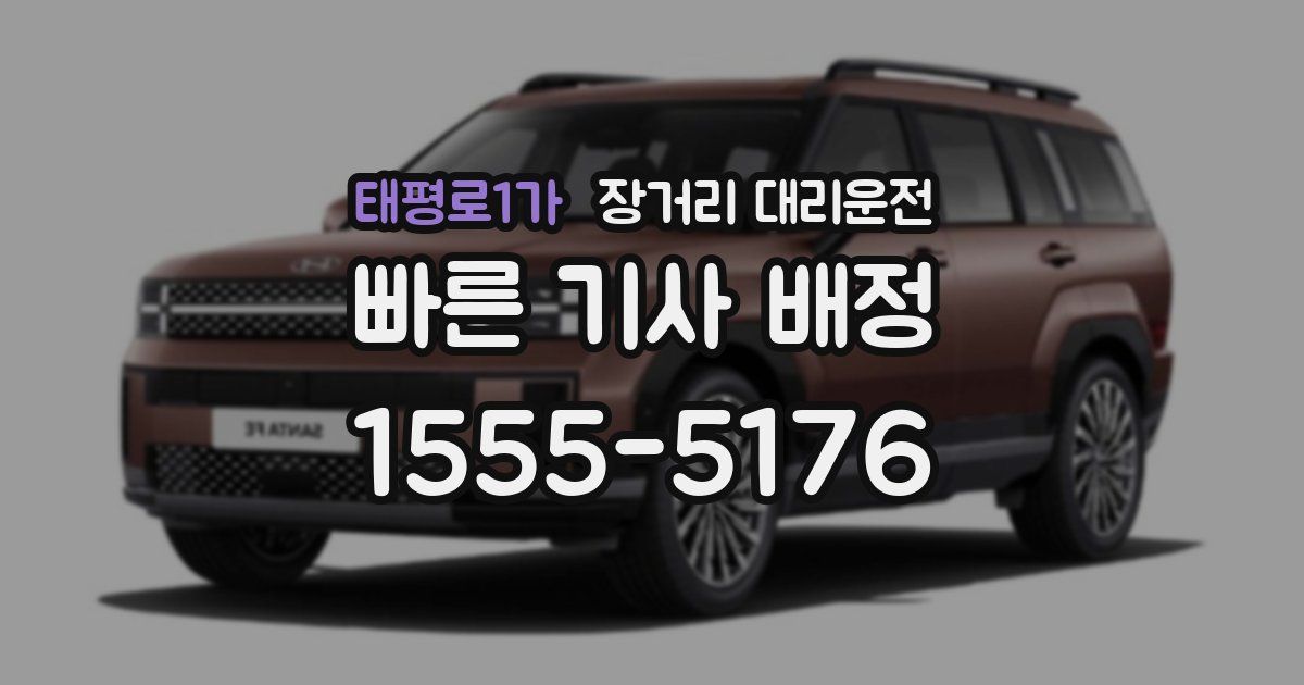 태평로1가 장거리 대리운전