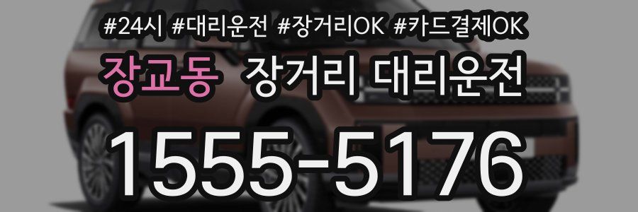 장교동 장거리 대리운전