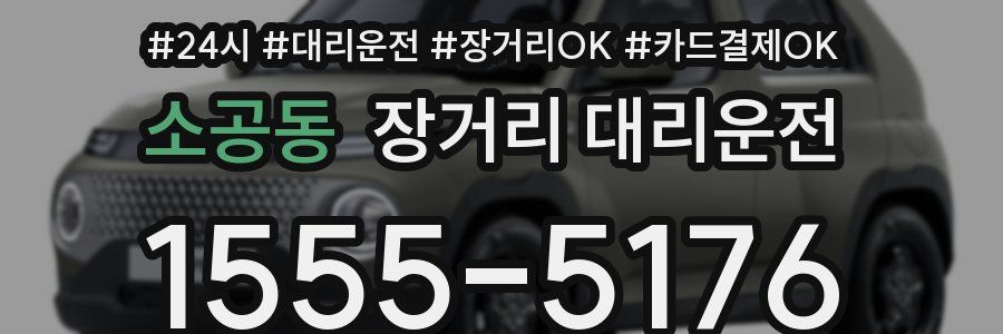 소공동 장거리 대리운전